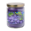 Smoke Odor 13oz Candle - Groov'n Grape