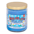 Smoke Odor 13oz Candle - Holiblaze